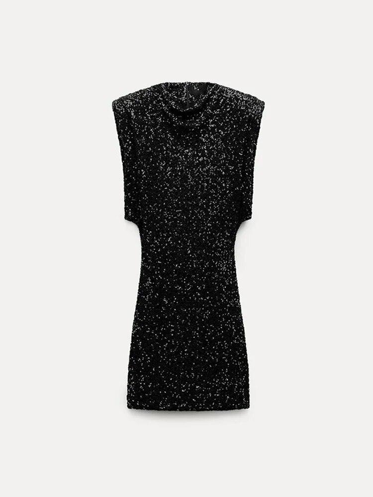 Abagail's Sequin Dress